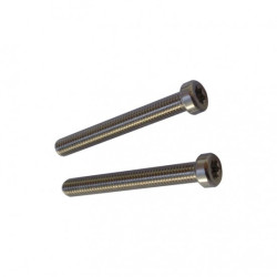 Vis Inox F-ONE M6-50mm Cylindrical head screws (2 pcs)