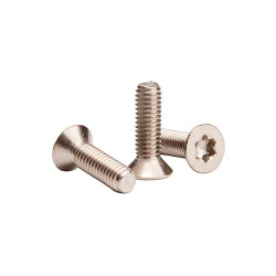 Vis F-ONE M6x30 A4 T30 (x4)