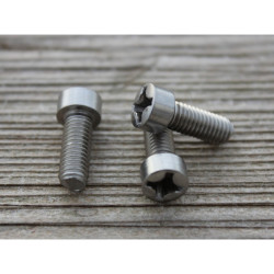 Vis DUOTONE Slotbox Fin M5x15 (2pcs)