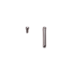 Plaqutte Goya Base Screw & Bolt For Tendon 2023