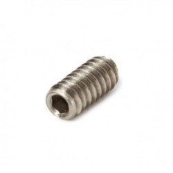 Vis Aileron FCS Stainless stell screw (unité)